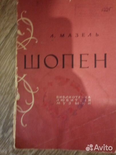 Музыкальная литература