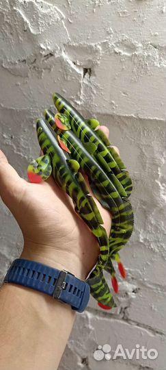 Силиконовые приманки ручной работы