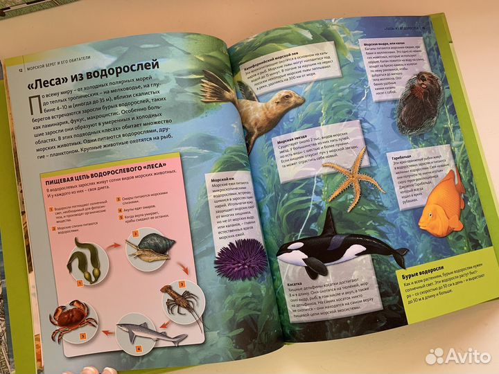 Книги познавательные