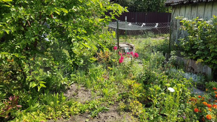 Участок 5 сот. (СНТ, ДНП)