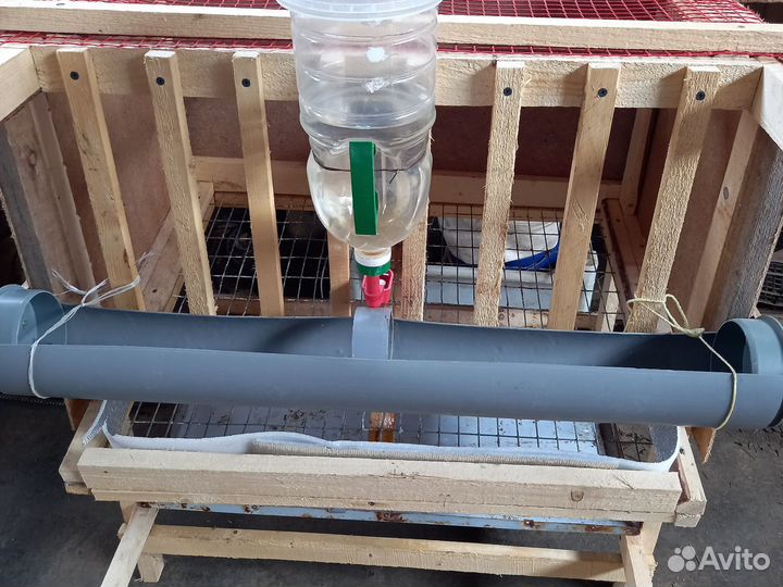 Клетки для кур