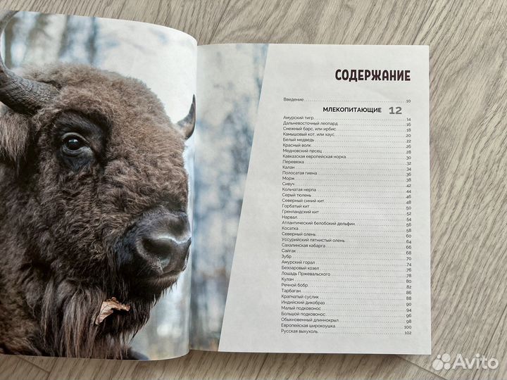 Красная книга россии