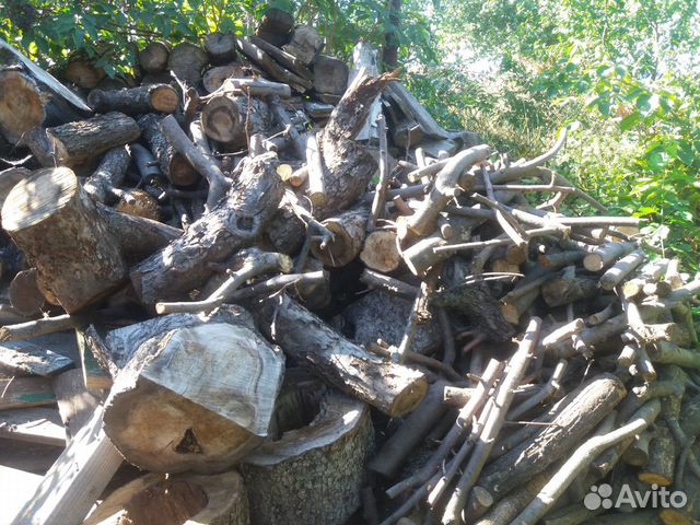 дрова смешанные колотые. дрова колотые клен. под соснами. дрова навалом. дрова акация.