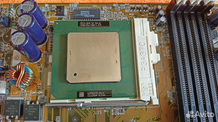 Intel Pentium III Celeron 1,2 GHz SL5XS / +