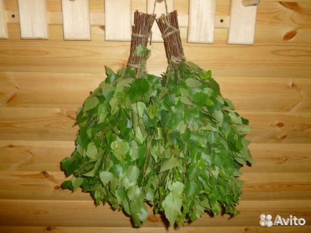 Березовые веники в сетке 2023