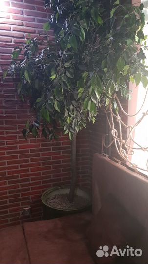 Дерево искусственное