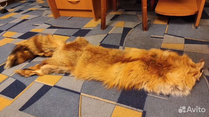 Шкура - чулок рыжей лисы