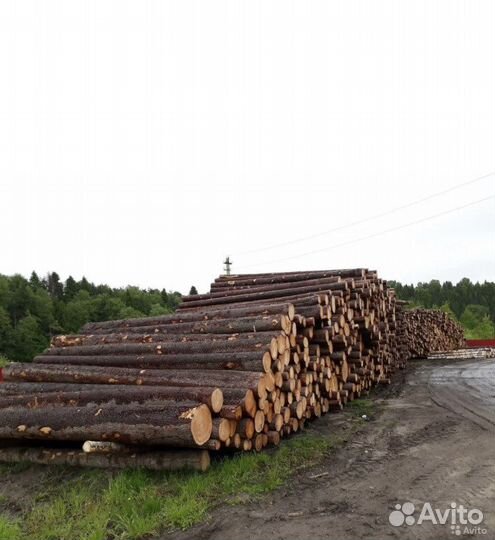 Лес кругляк пиловочник