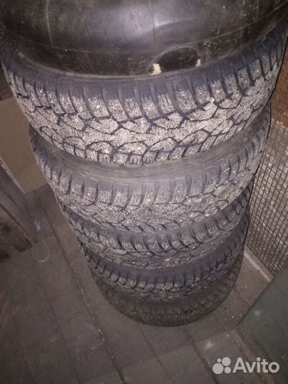 Gislaved Nord Frost 5 175/70 R13