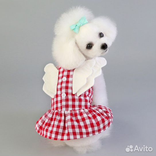 Платья для собак новые разные