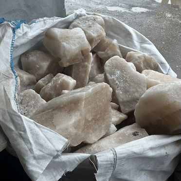 Корма для животных оптом