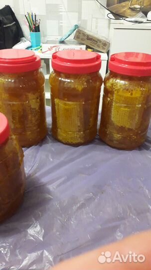 «Мёд свежий Прополис пыльца мёд в сотах »