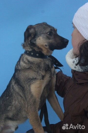 Несчастный молодой мальчишка