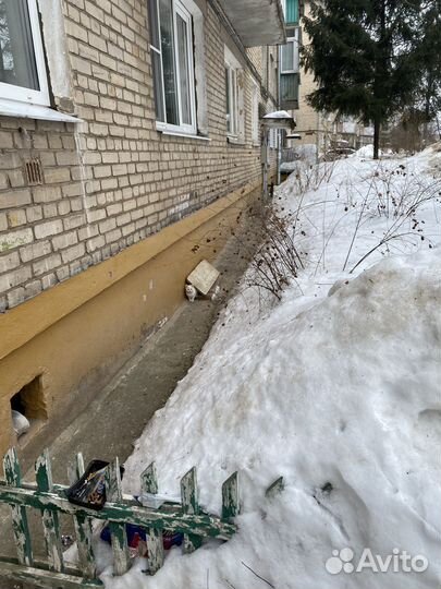 Белый котенок