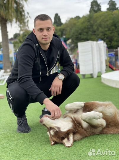 Подбор автомобиля