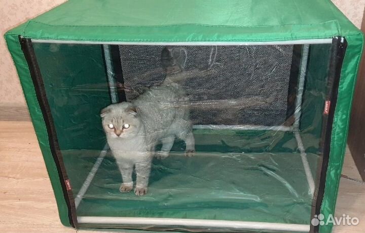 Выставочная палатка для кошек