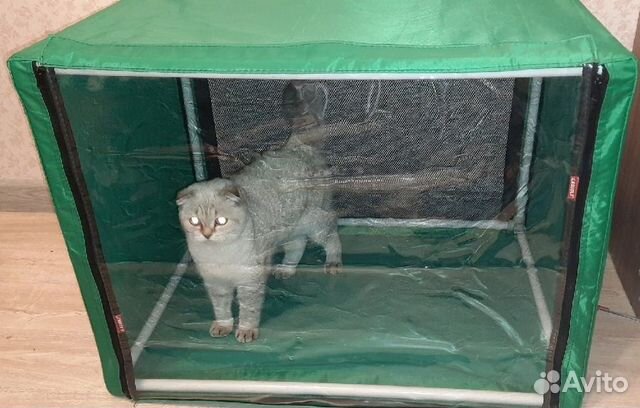 Выставочная палатка для кошек