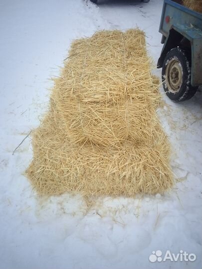 Солома пшеничная в тюках