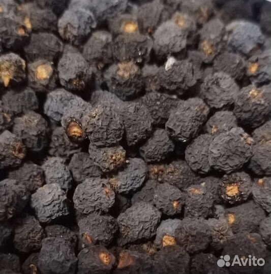 Черноплодная рябина