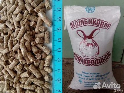 Зерно/Комбикорм