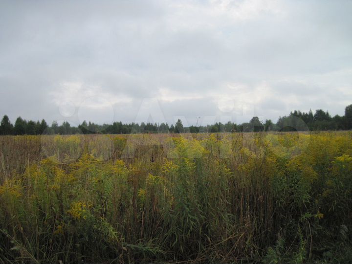 Участок 3,4 га (СНТ, ДНП)