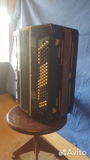 Баян вологодский