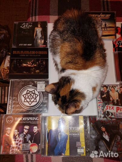 CD диски рок, панк, металл