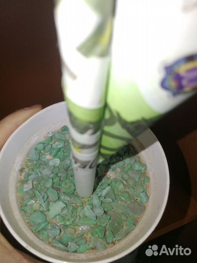 Дерево из денег, декор