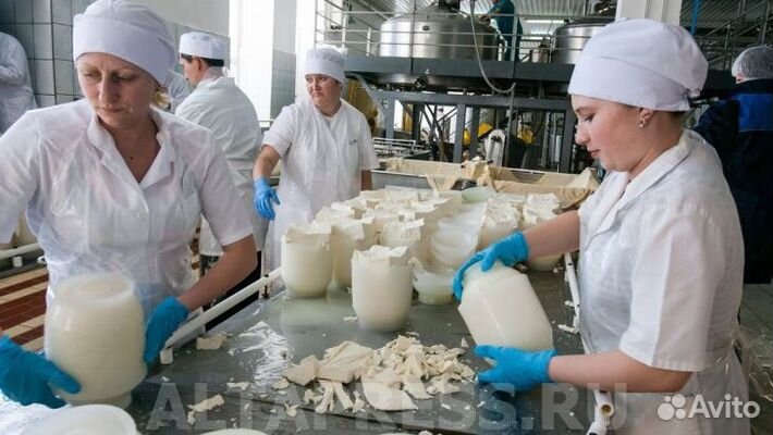 Разнорабочие оплата ежедневно (маслозавод)