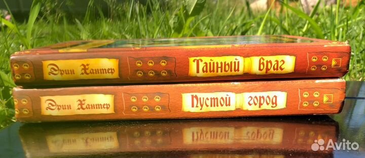 Продаются две первые книги серии 