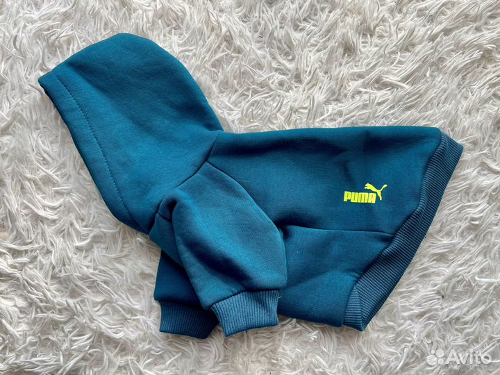 Одежда для собак