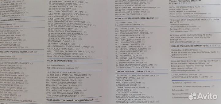 Основы китайской медицины. Мачоча т.3