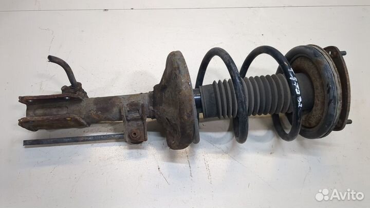 Амортизатор подвески Suzuki Liana, 2004