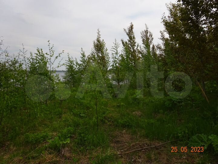 Участок 20 сот. (СНТ, ДНП)