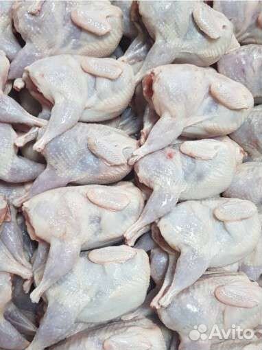 Мясо перепела