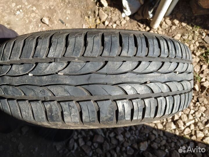 Sava Avant 4 Plus 175/65 R14