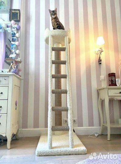 Когтеточки и игровые комплексы для кошек