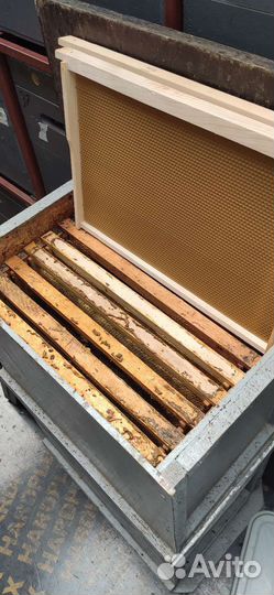 Вощина натуральная