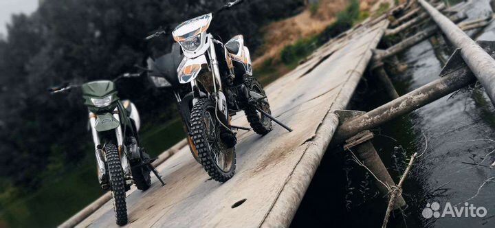 Bse dx 125