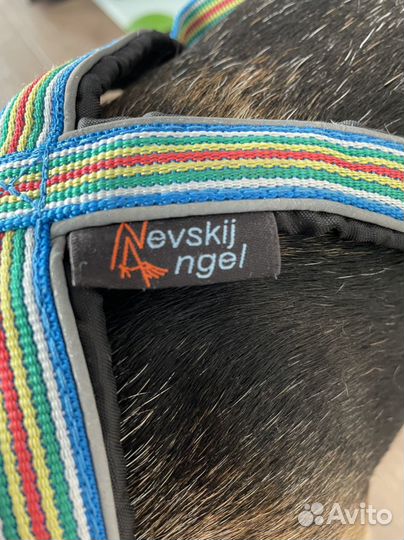 Шлейка ездовая