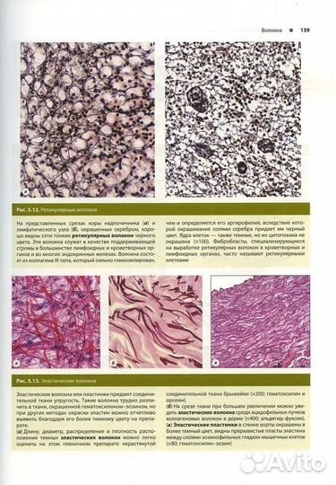 Гистология по Жункейре. Атлас: Учебное пособие