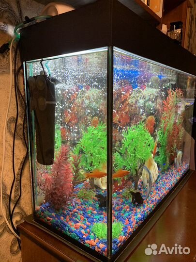 Аквариум 100 литров