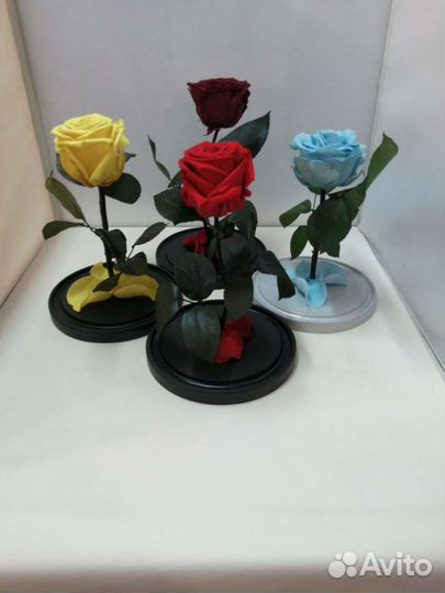 Роза в колбе