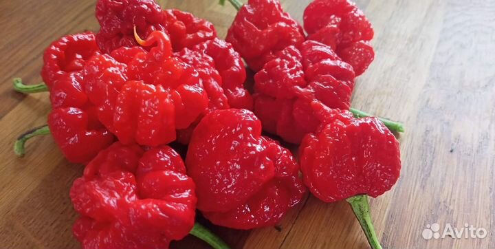 Семена острых перцев хабанеро, рокото итд