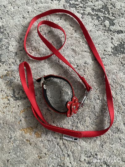Ошейник и поводок для собаки