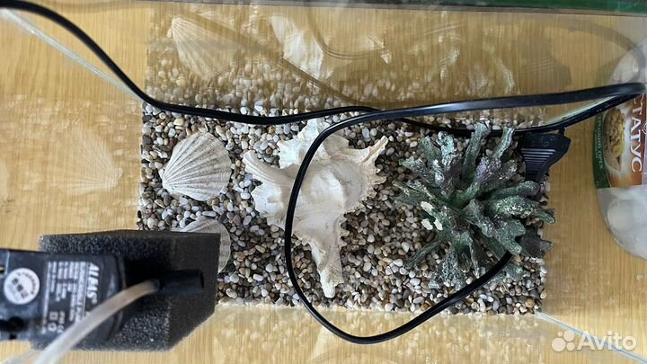 Аквариум 10 литров
