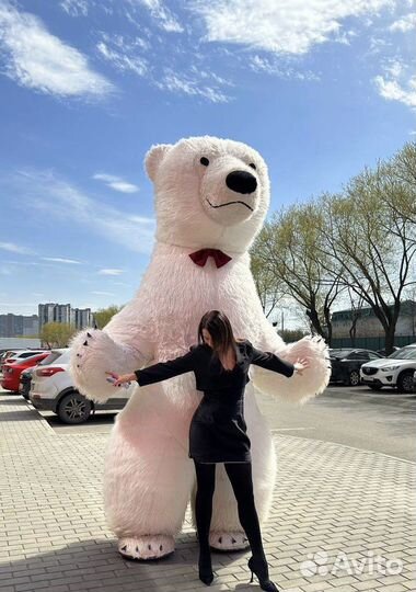 Белый мишка поздравление, медведь аниматор