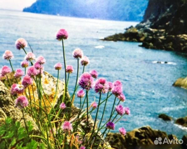 Картина по номерам 40x50 Нежные цветочки на фоне