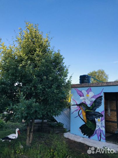 Художественное оформление,граффити