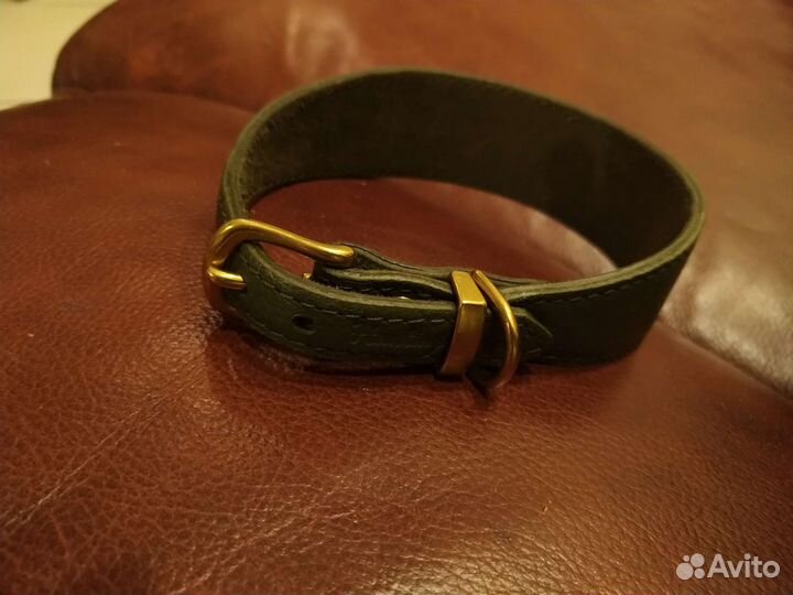 Новый ошейник